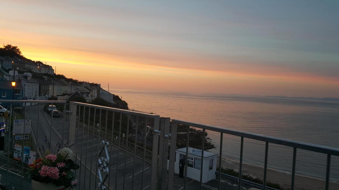The Sup Shack Wellington Inn New Quay  Exteriör bild