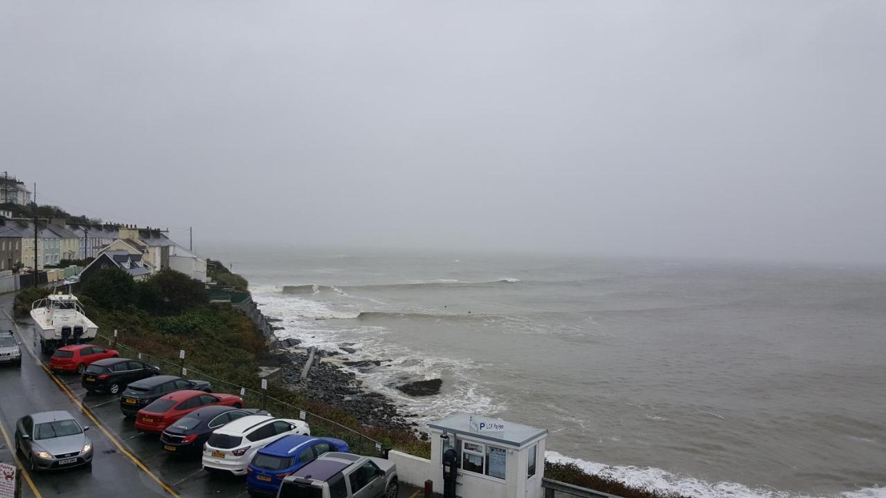 The Sup Shack Wellington Inn New Quay  Exteriör bild